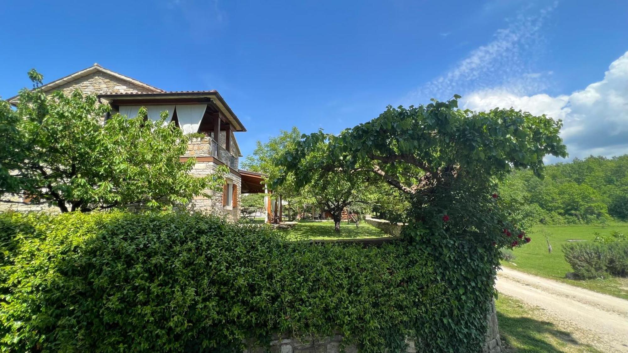 Holiday Home Casa Dei Farfui Momjan المظهر الخارجي الصورة