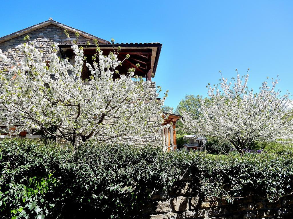 Holiday Home Casa Dei Farfui Momjan المظهر الخارجي الصورة